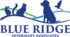 Blue Ridge Veterinary Associates
