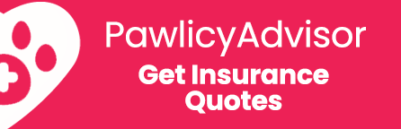 PawlicyAdvisor - Get Insurance Quotes