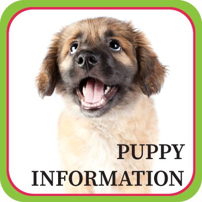 Puppy Information Button