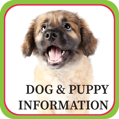 Puppy Information Button