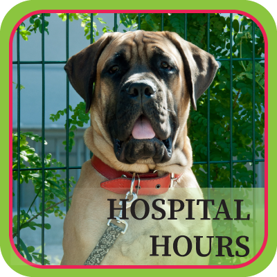 Hospital Hours